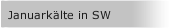 Januarkälte in SW